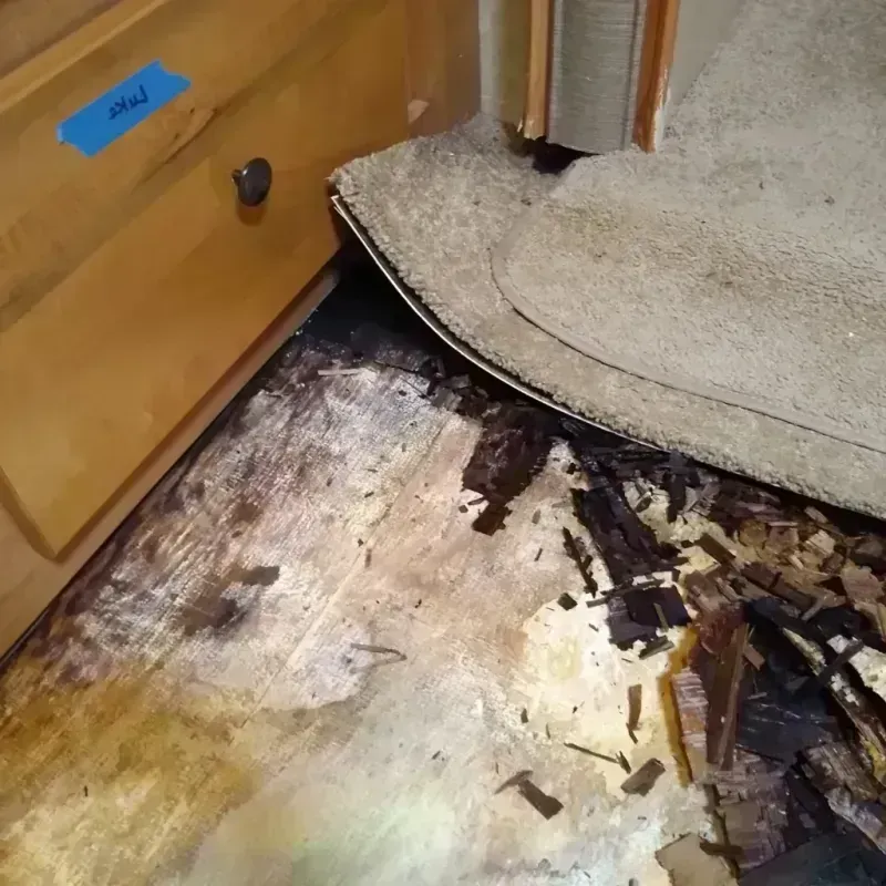 Wood Floor Water Damage in Redondo Beach, CA